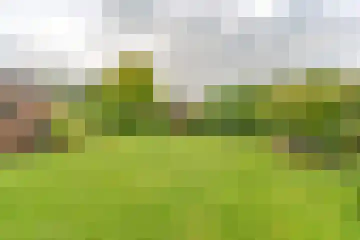 Badhuisweg 5 Exloo thumbnail 71