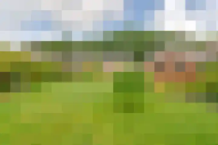Badhuisweg 5 Exloo thumbnail 73