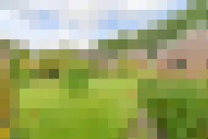 Badhuisweg 5 Exloo thumbnail 74