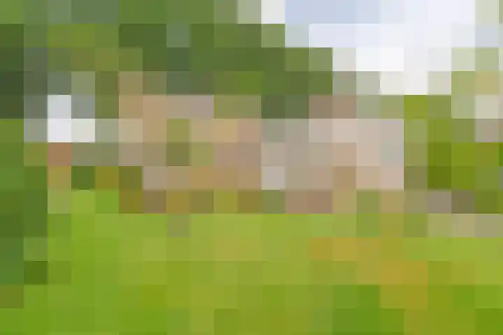 Badhuisweg 5 Exloo thumbnail 75