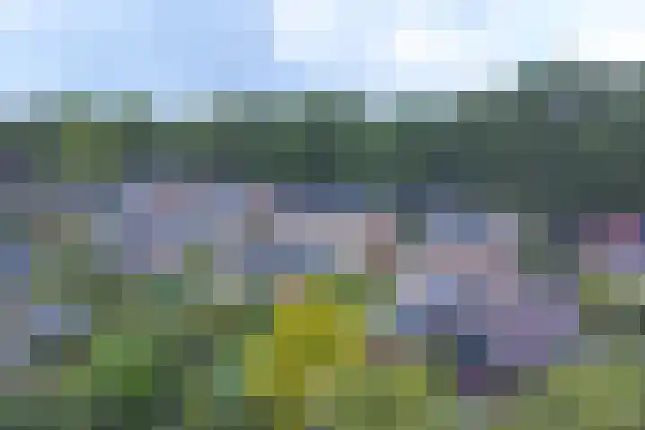 Badhuisweg 5 Exloo thumbnail 76