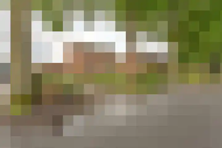 Badhuisweg 5 Exloo thumbnail 77