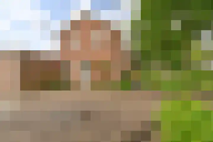 Badhuisweg 5 Exloo thumbnail 8