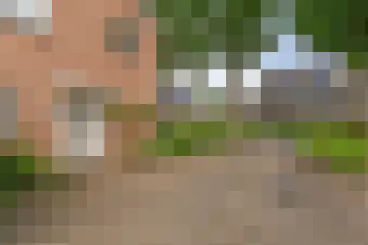 Badhuisweg 5 Exloo thumbnail 9