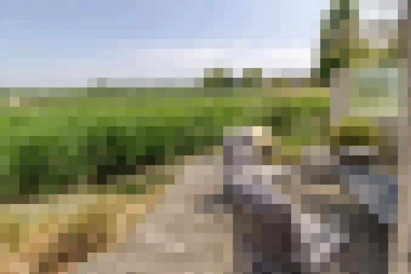 Badhuisweg 50 Cadzand thumbnail 33