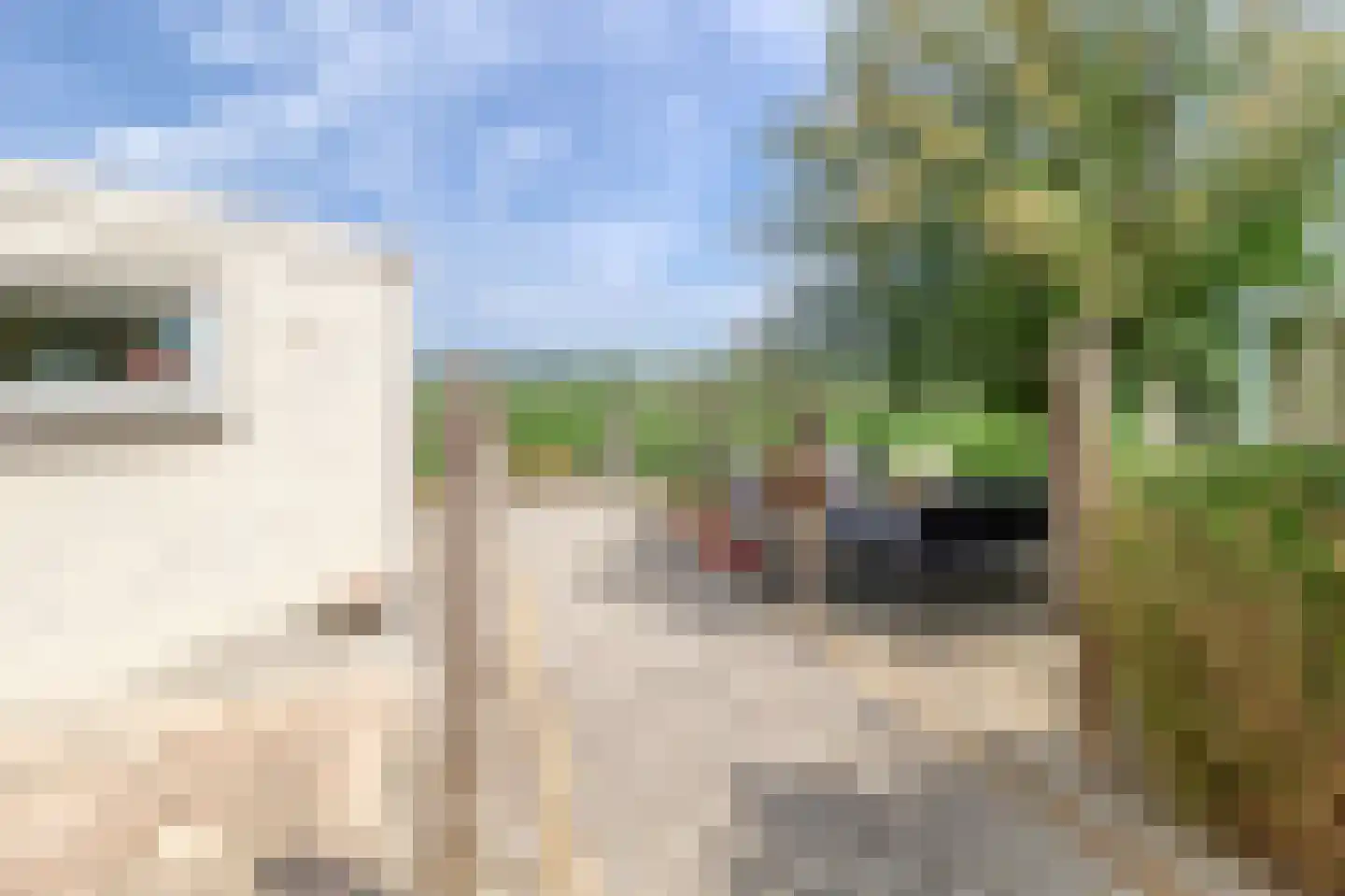 Badhuisweg 50 Cadzand thumbnail 35