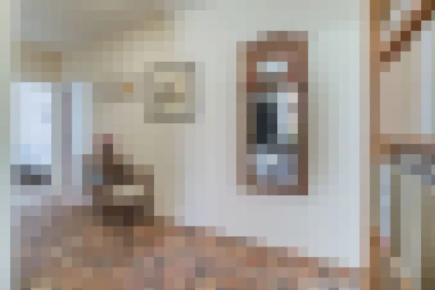 Badhuisweg 50 Cadzand thumbnail 5