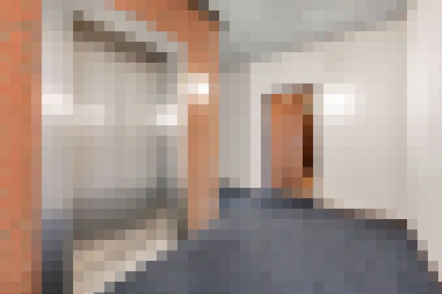 Badhuisweg 58 G Den Haag thumbnail 8
