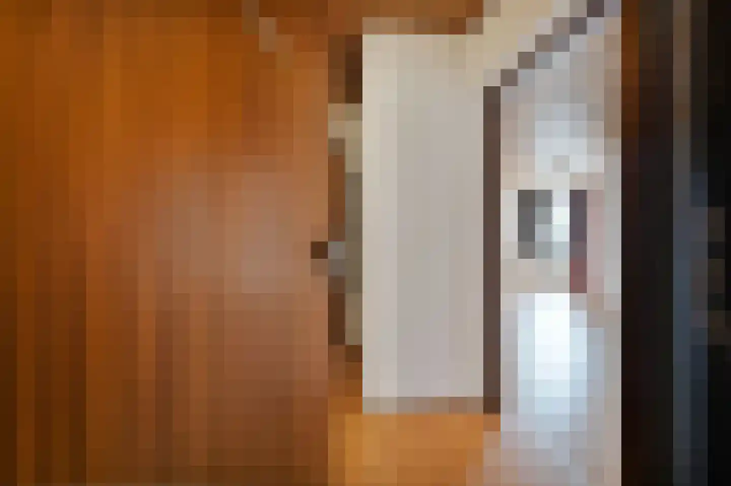 Badhuisweg 58 G Den Haag thumbnail 9