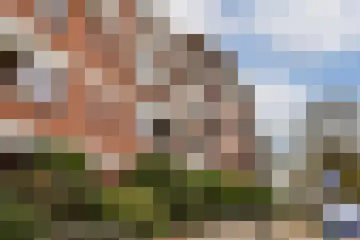 Badhuisweg 58 M Den Haag thumbnail 4