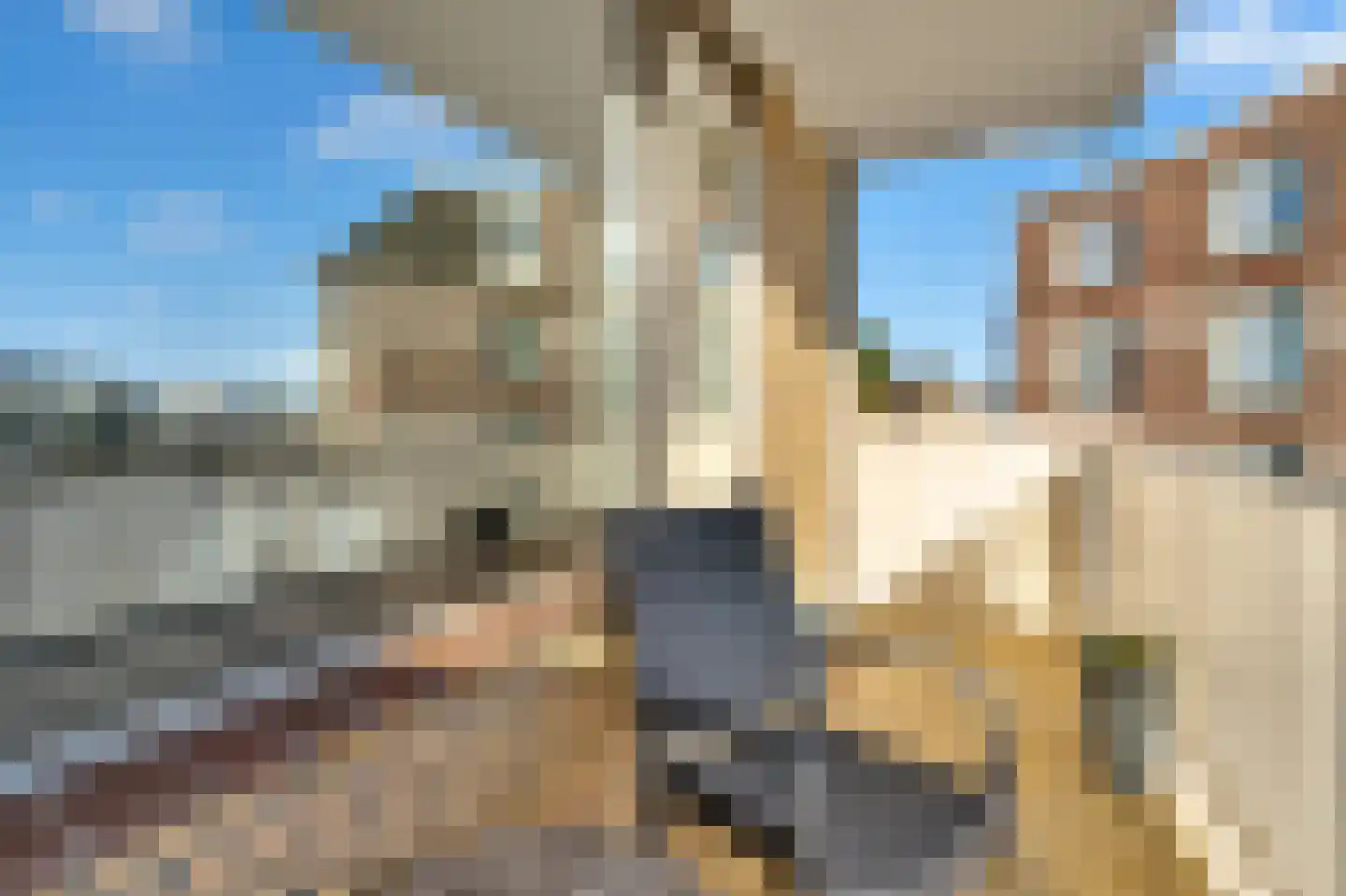 Badhuisweg 6 B Den Haag thumbnail 17