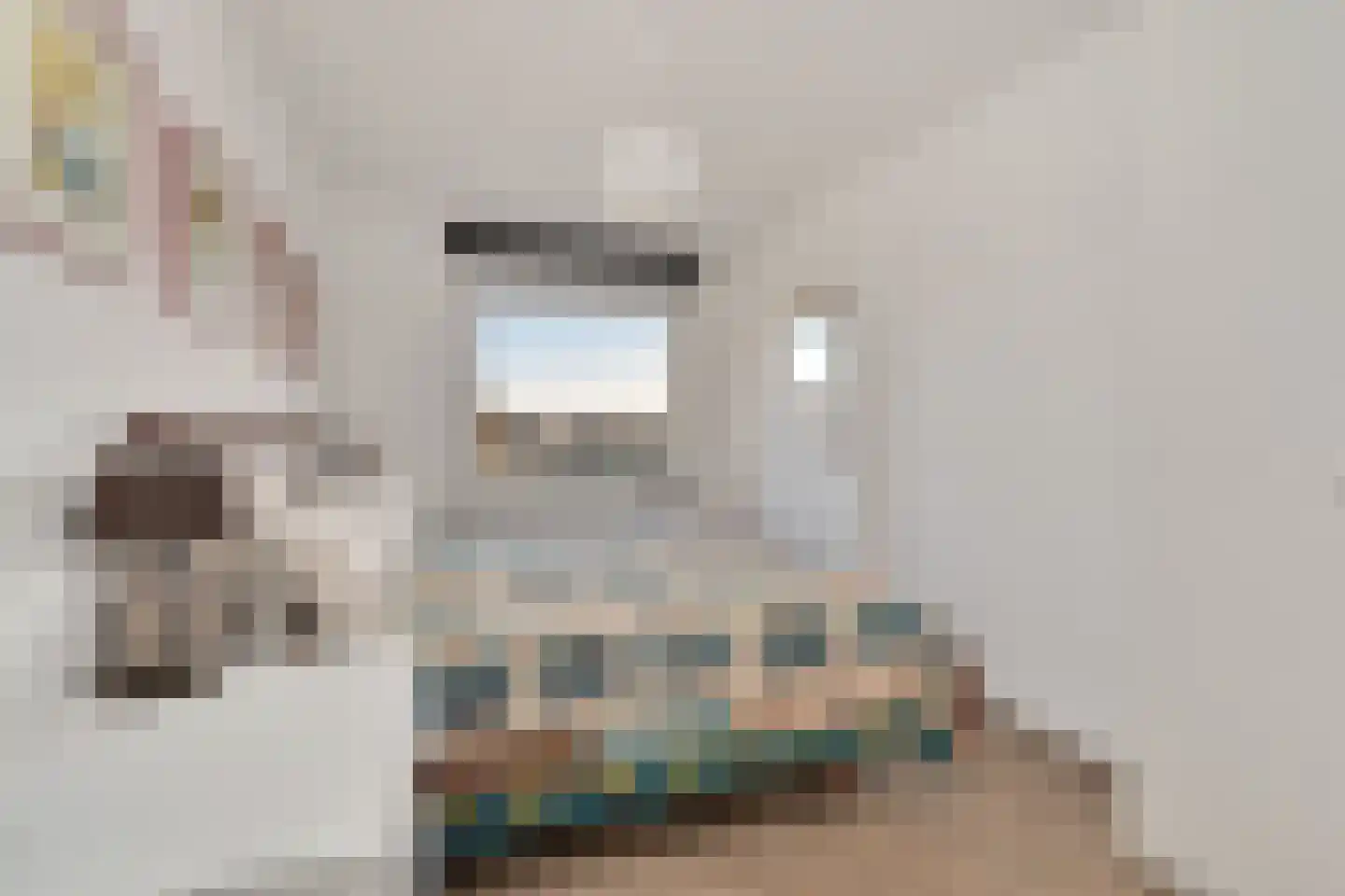Badhuisweg 6 B Den Haag thumbnail 22