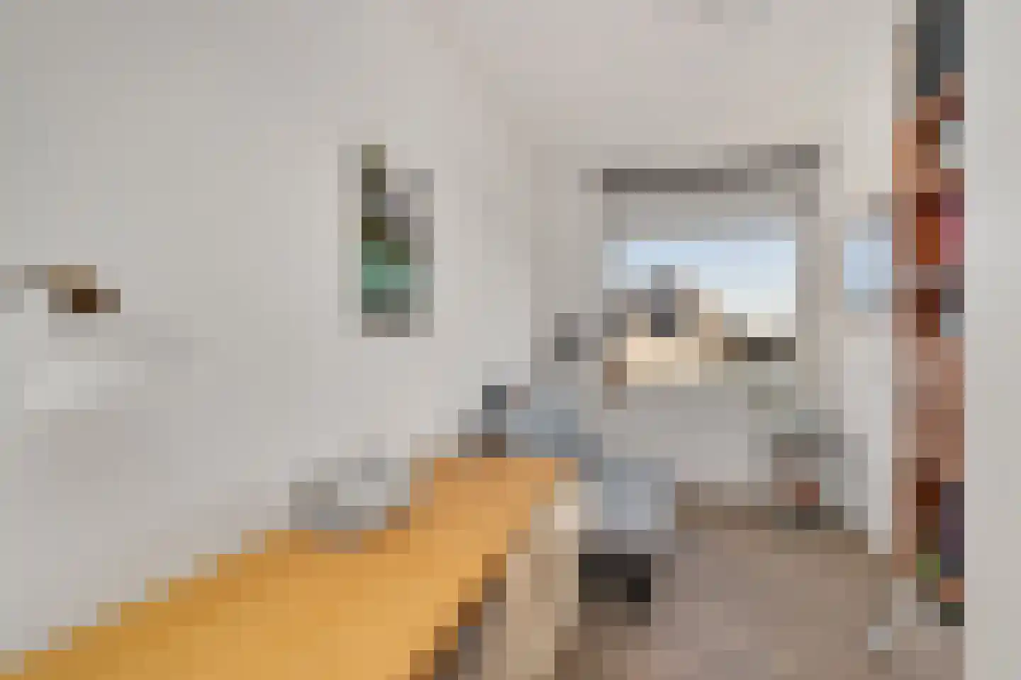 Badhuisweg 6 B Den Haag thumbnail 26