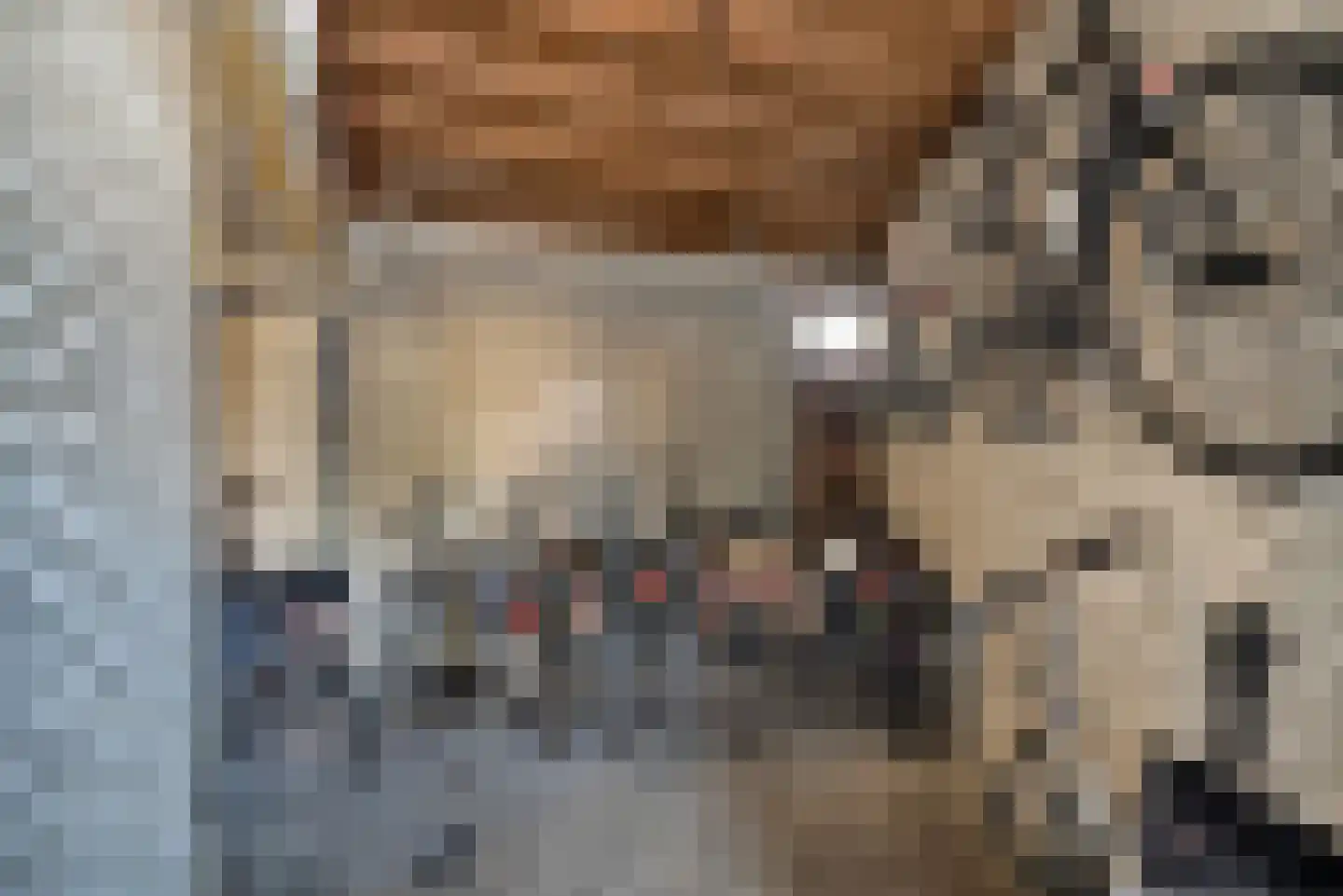 Badhuisweg 6 B Den Haag thumbnail 34