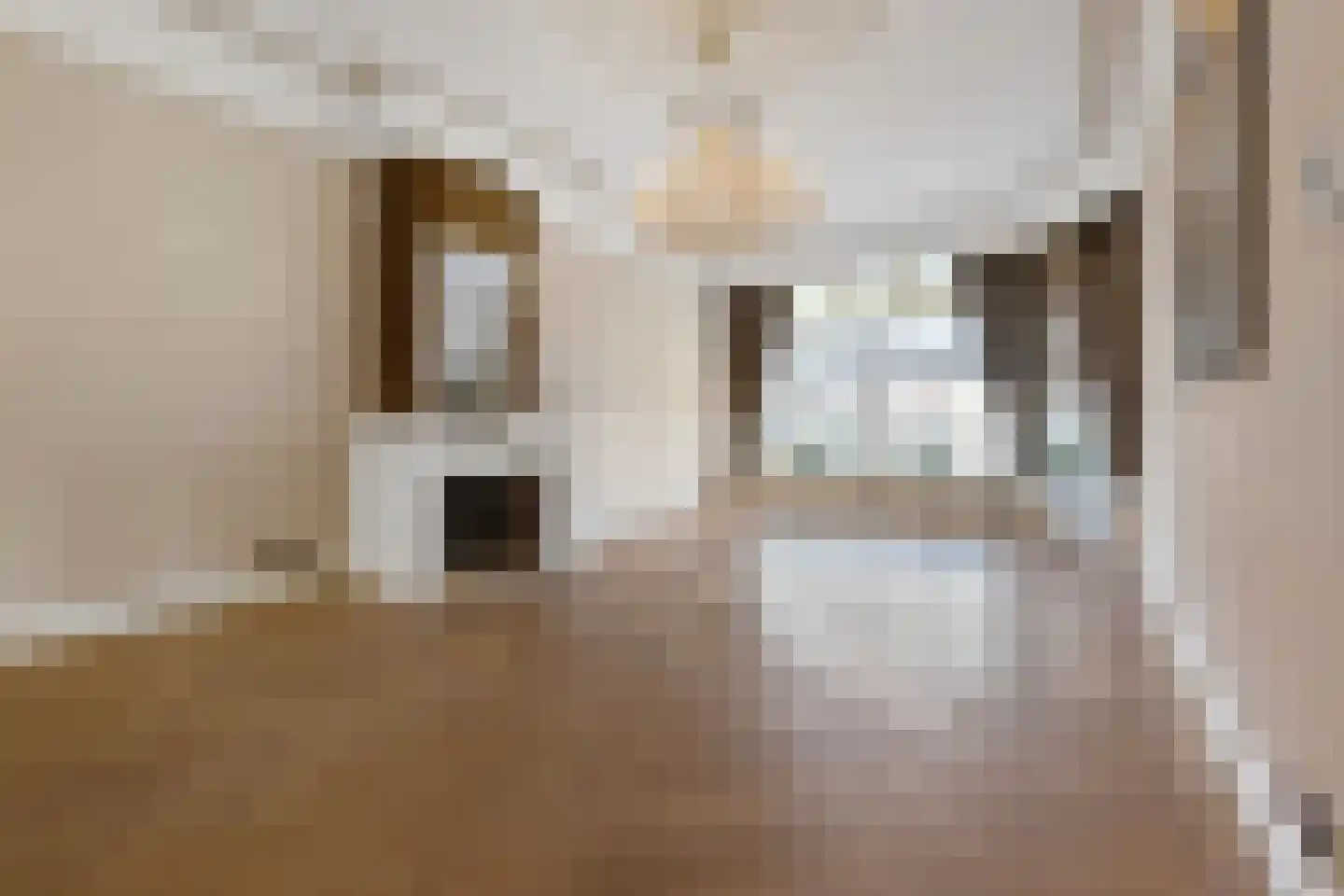 Badhuisweg 64 A Den Haag thumbnail 15