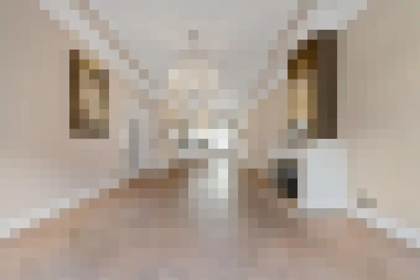 Badhuisweg 64 A Den Haag thumbnail 18