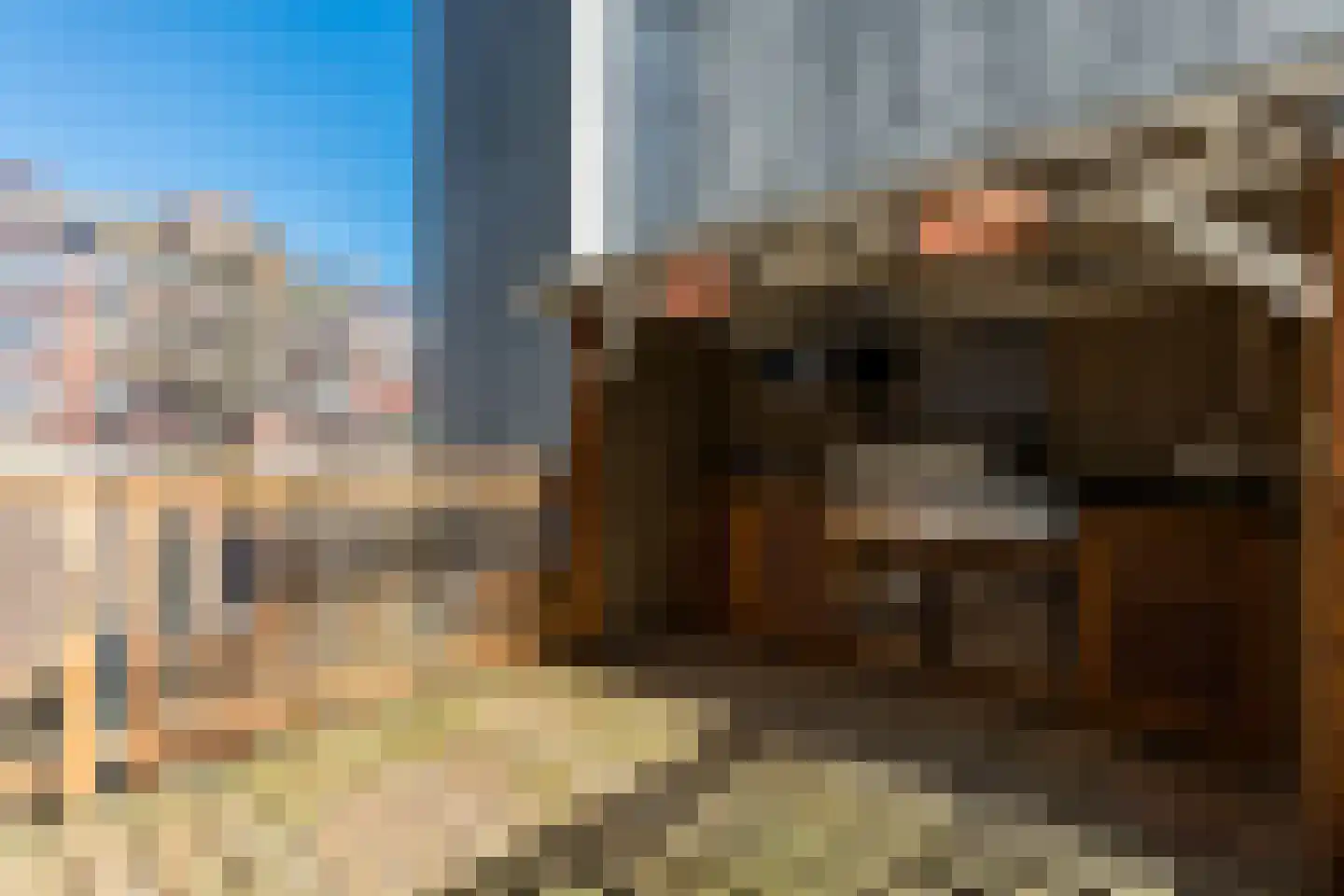 Badhuisweg 64 A Den Haag thumbnail 25