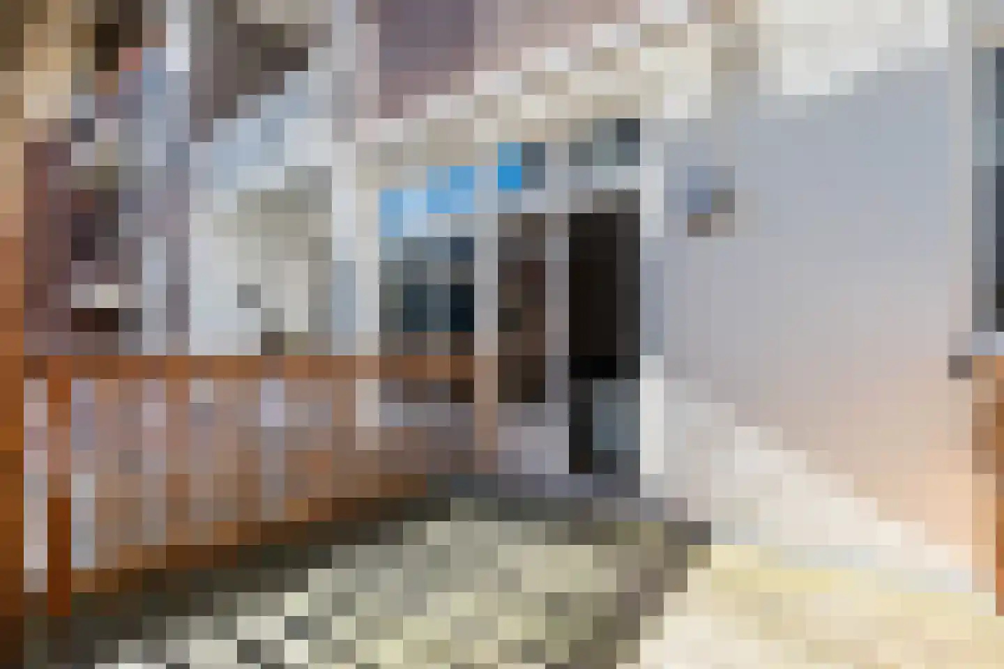 Badhuisweg 64 A Den Haag thumbnail 28