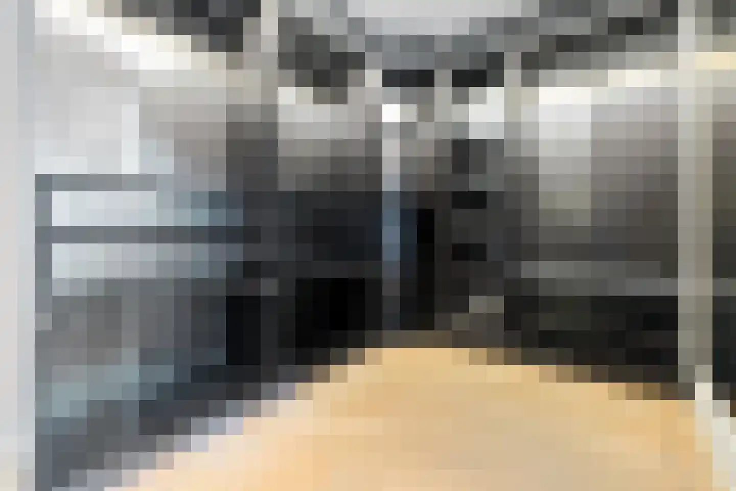 Badhuisweg 64 A Den Haag thumbnail 43
