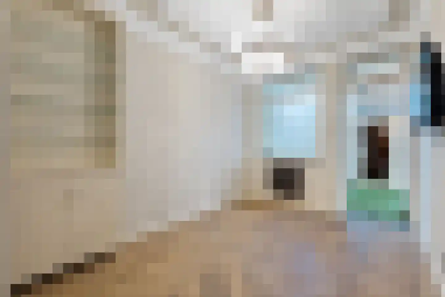 Badhuisweg 64 A Den Haag thumbnail 44
