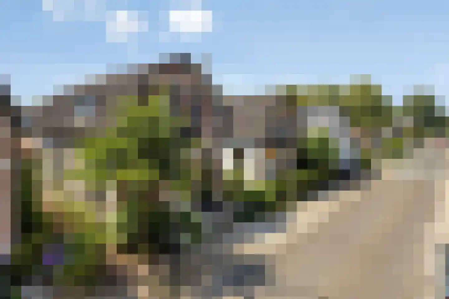Badhuisweg 99 Apeldoorn thumbnail 28