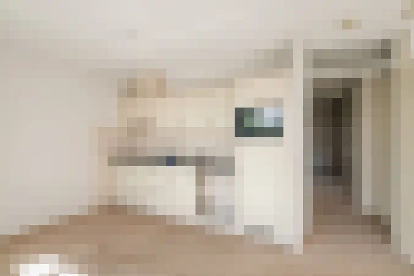 Badijkstraat 65 Twello thumbnail 12