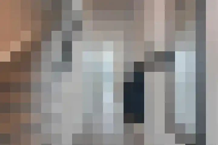Badinckstraat 15 Dalfsen thumbnail 10