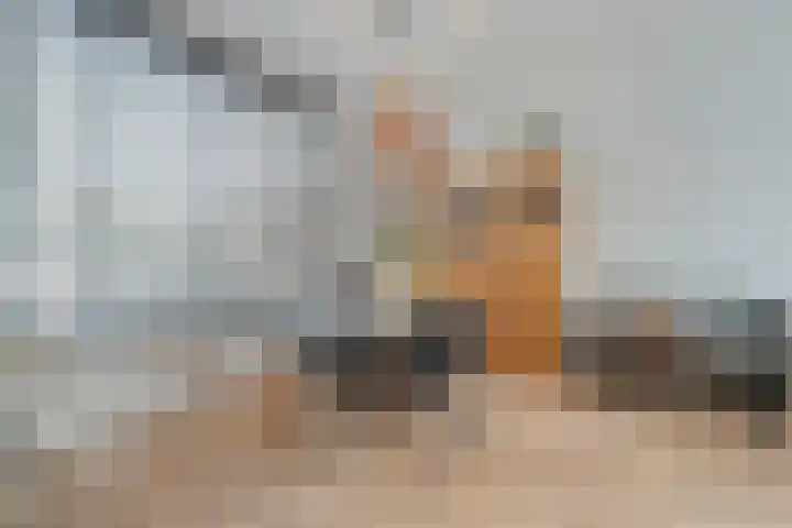 Badinckstraat 15 Dalfsen thumbnail 17