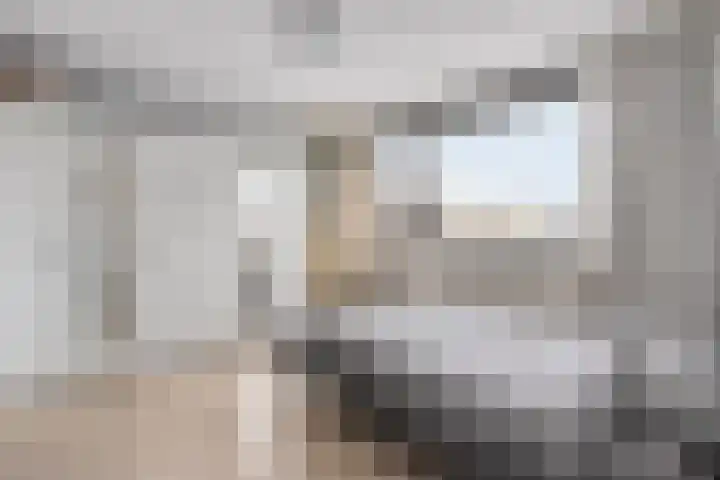 Badinckstraat 15 Dalfsen thumbnail 23