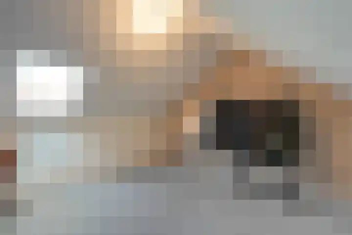 Badinckstraat 15 Dalfsen thumbnail 32
