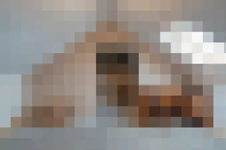 Badinckstraat 15 Dalfsen thumbnail 33