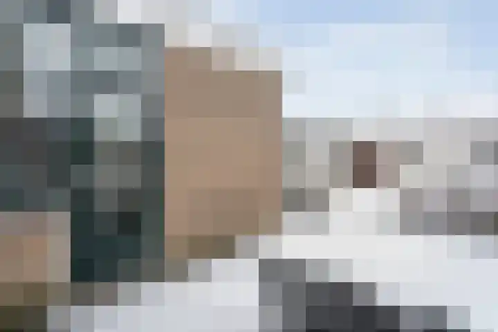 Badinckstraat 15 Dalfsen thumbnail 34