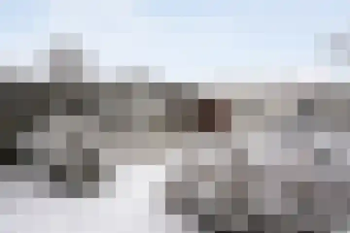 Badinckstraat 15 Dalfsen thumbnail 36