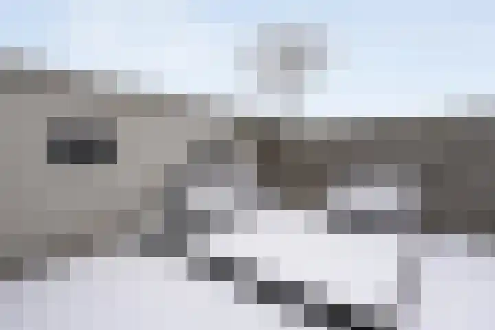 Badinckstraat 15 Dalfsen thumbnail 37