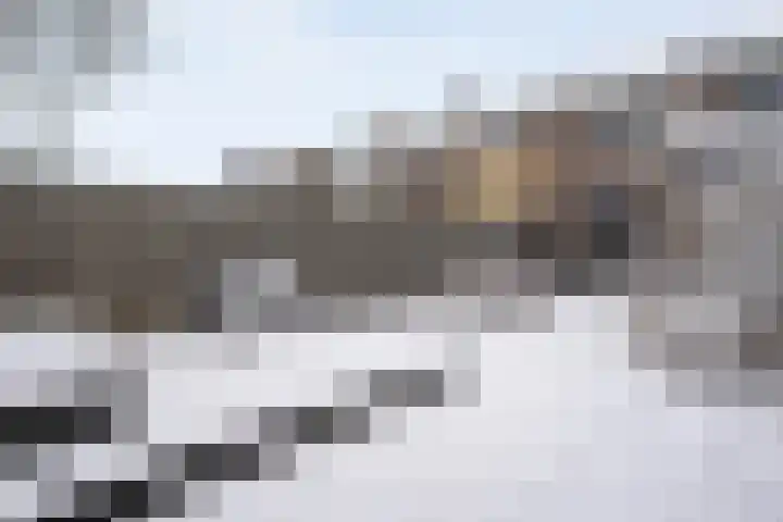 Badinckstraat 15 Dalfsen thumbnail 38