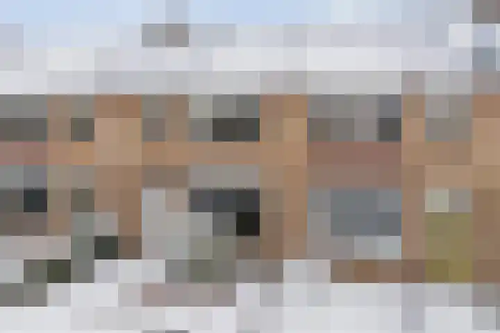 Badinckstraat 15 Dalfsen thumbnail 45