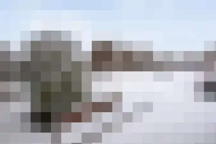 Badinckstraat 15 Dalfsen thumbnail 7