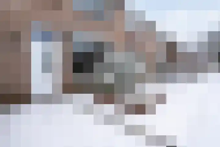 Badinckstraat 15 Dalfsen thumbnail 8