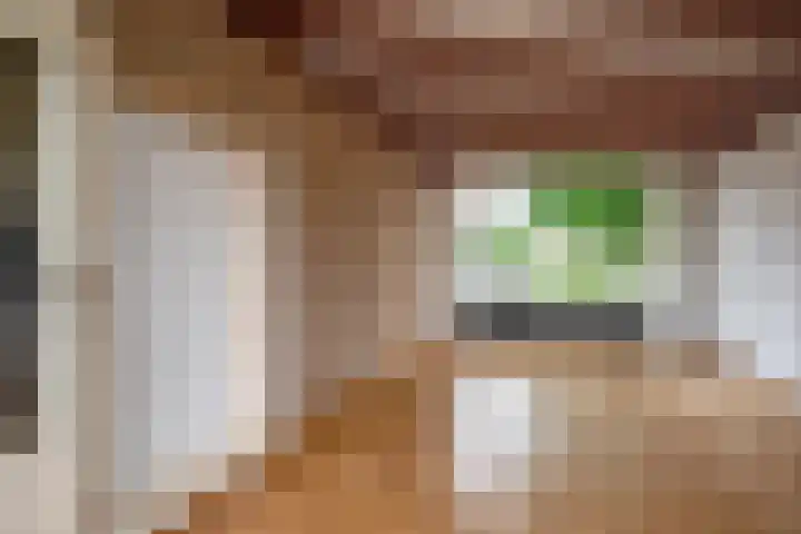 Badinckstraat 20 Dalfsen thumbnail 10