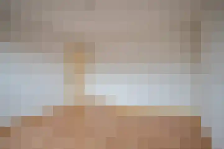 Badinckstraat 20 Dalfsen thumbnail 15