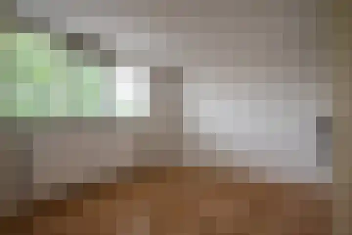 Badinckstraat 20 Dalfsen thumbnail 18