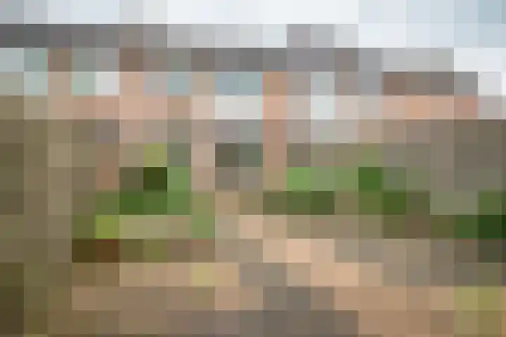 Badinckstraat 20 Dalfsen thumbnail 23
