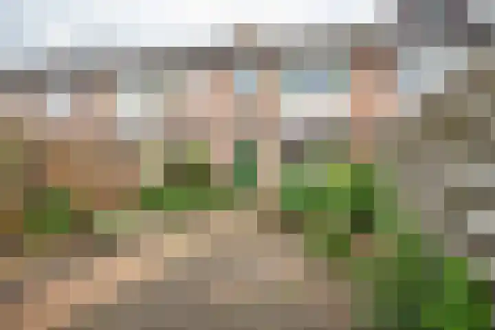 Badinckstraat 20 Dalfsen thumbnail 24