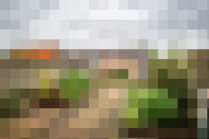 Badinckstraat 20 Dalfsen thumbnail 25