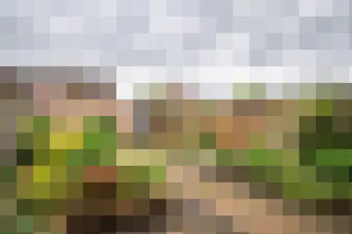 Badinckstraat 20 Dalfsen thumbnail 26