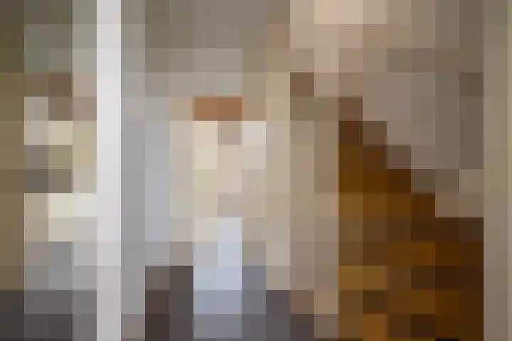 Badinckstraat 20 Dalfsen thumbnail 5