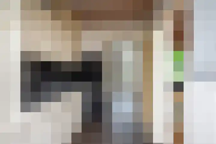 Badinckstraat 20 Dalfsen thumbnail 6