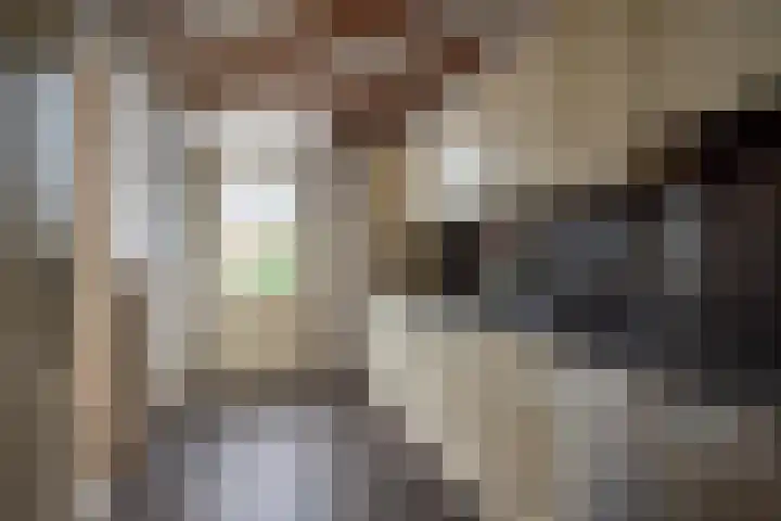 Badinckstraat 20 Dalfsen thumbnail 7