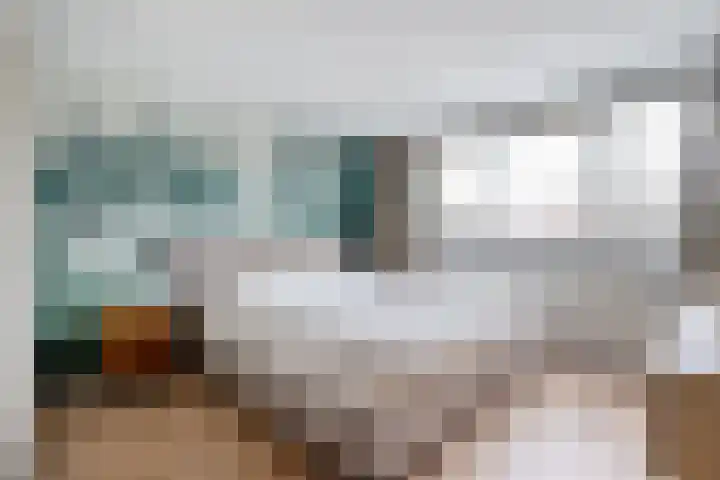 Badinckstraat 21 Dalfsen thumbnail 18