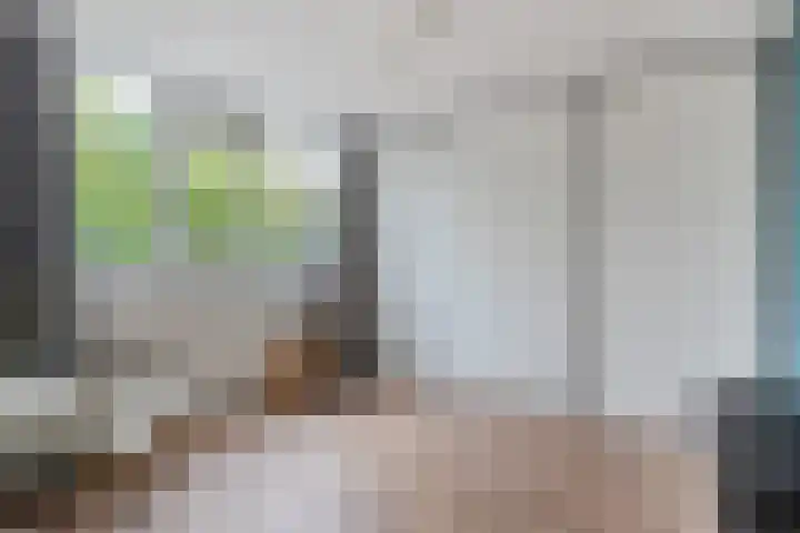 Badinckstraat 21 Dalfsen thumbnail 21